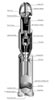 Close Range Weapons: Image
